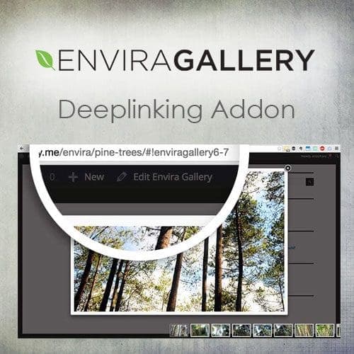 Envira Gallery - Deeplinking Addon