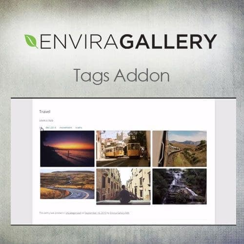Envira Gallery - Tags Addon