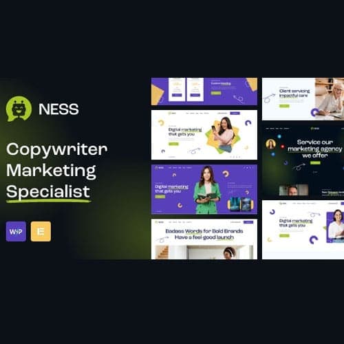 Ness - Marketing Agency & SMM WordPress Theme