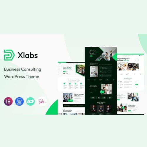 Xlab - Business Consulting WordPress Theme