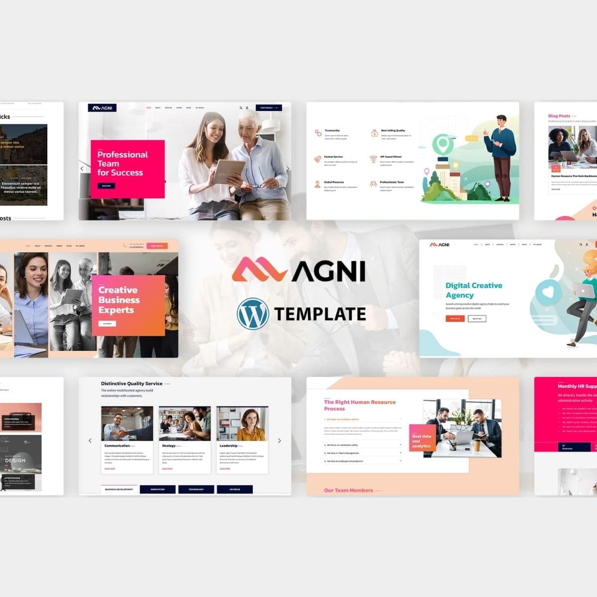 Agni - Consulting Business