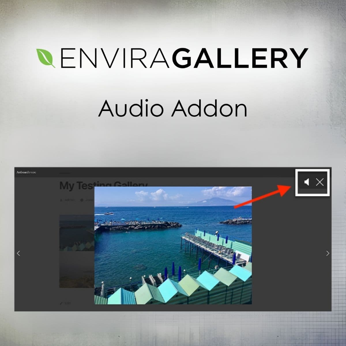 Envira Gallery - Audio Addon