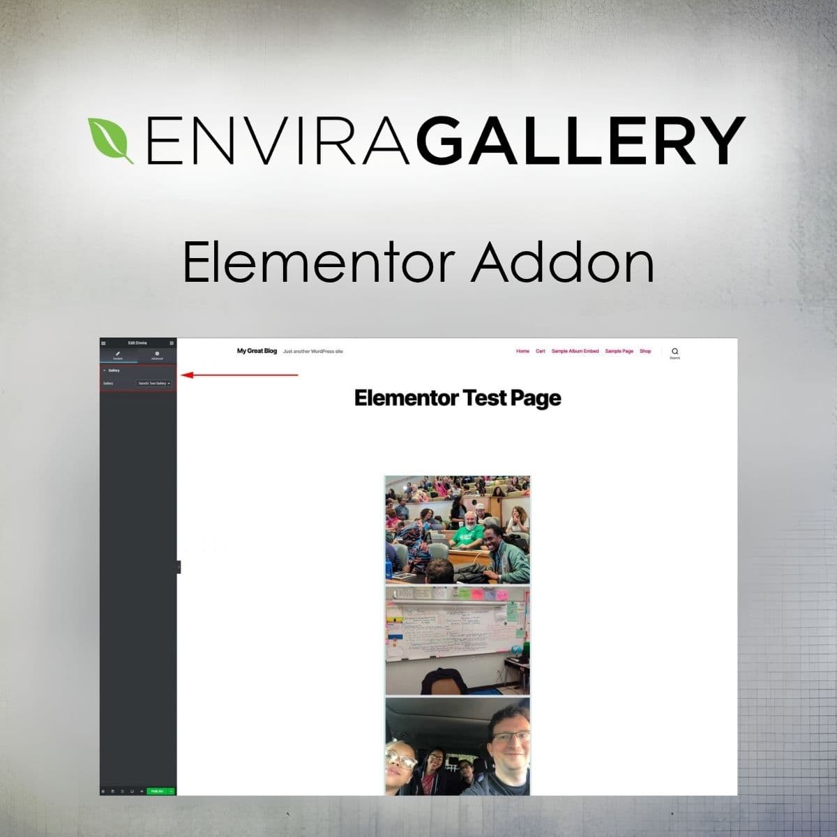 Envira Gallery - Elementor Addon