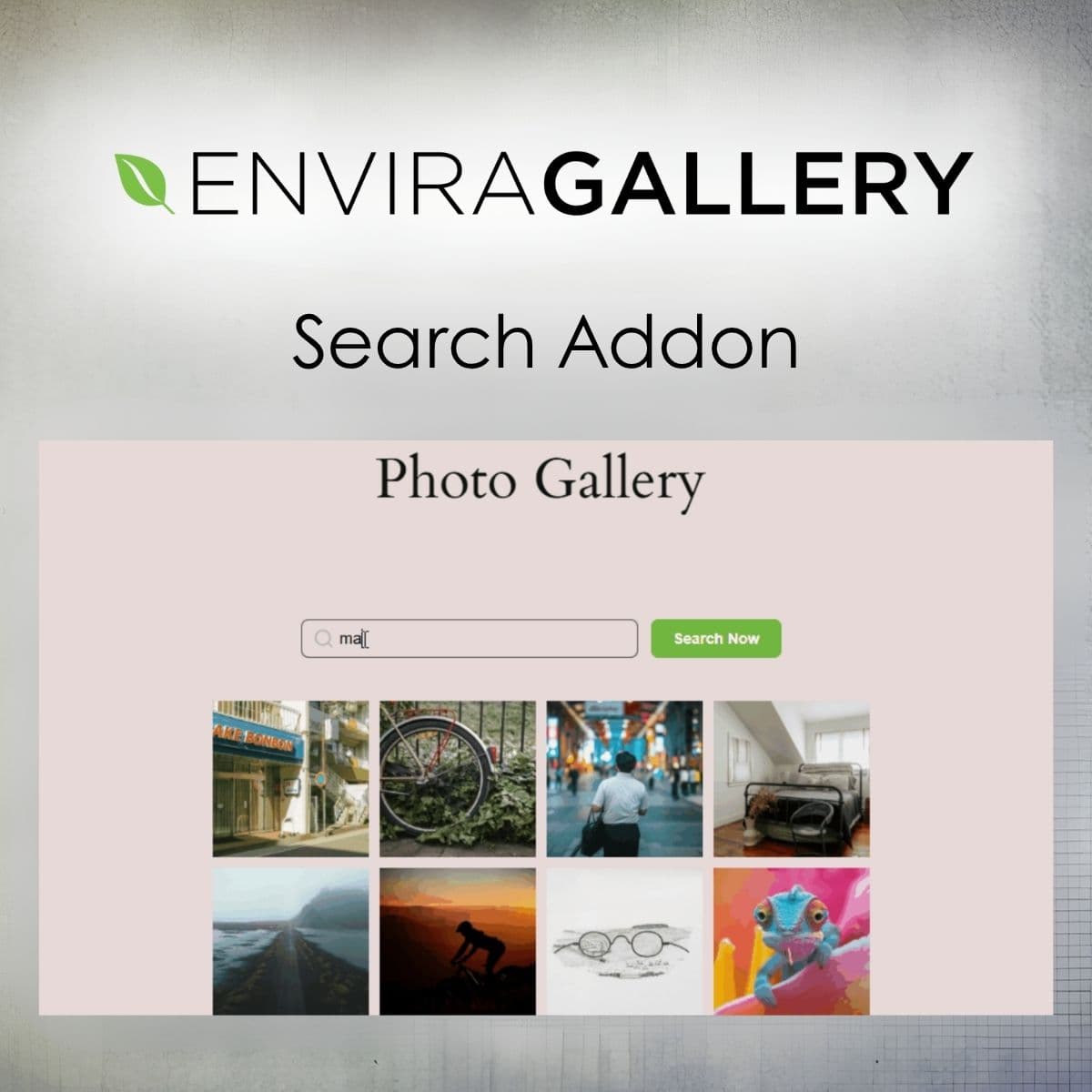 Envira Gallery - Search Addon