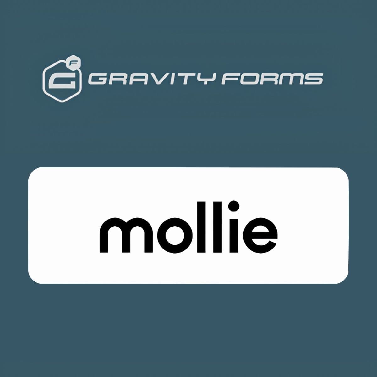 Gravity Forms Mollie Add-On