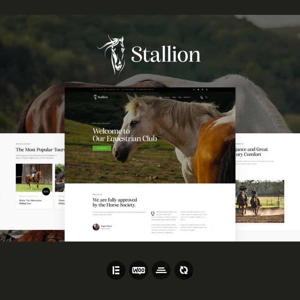 Stallion - Equestrian Club and Horse Riding School WordPess Theme