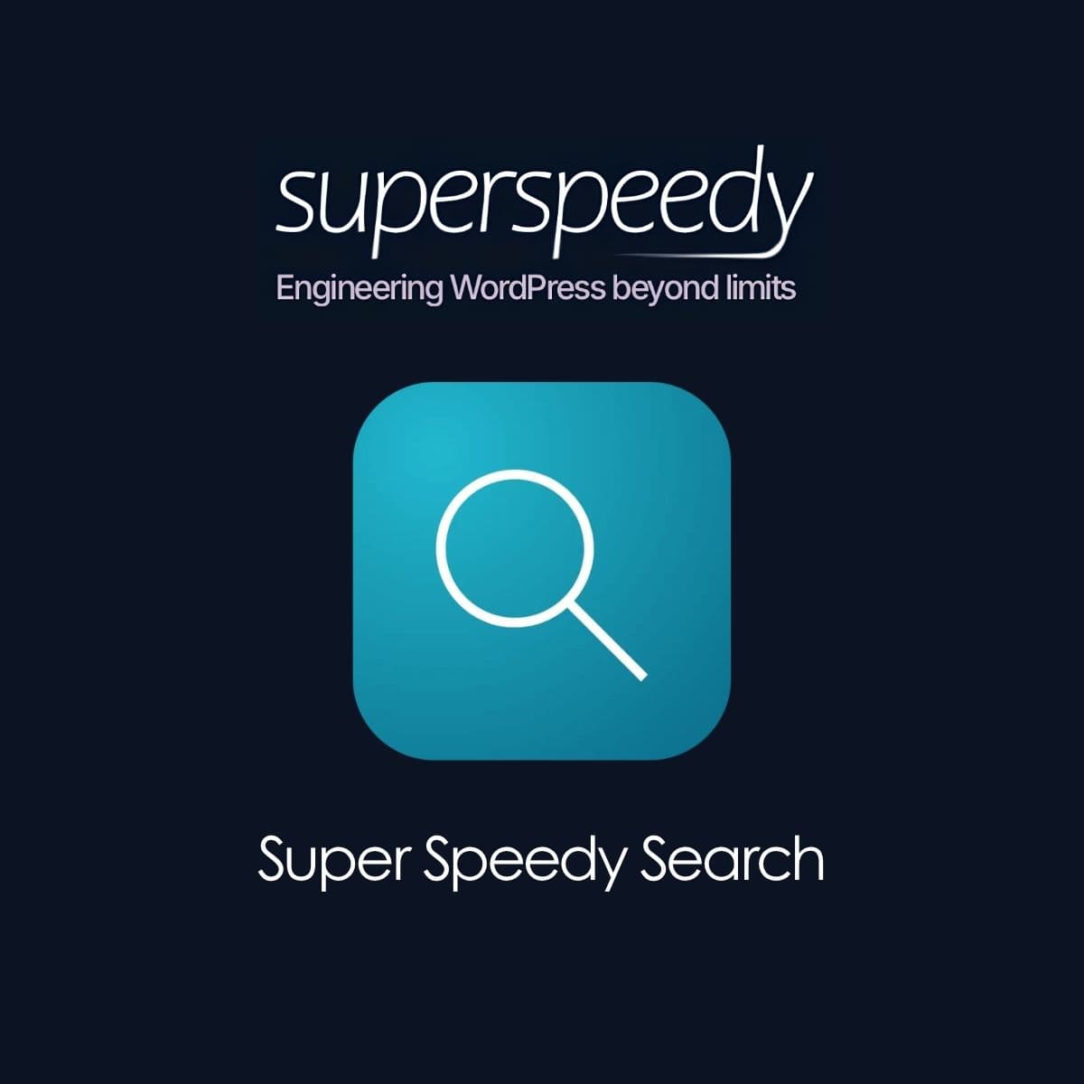Super Speedy Search