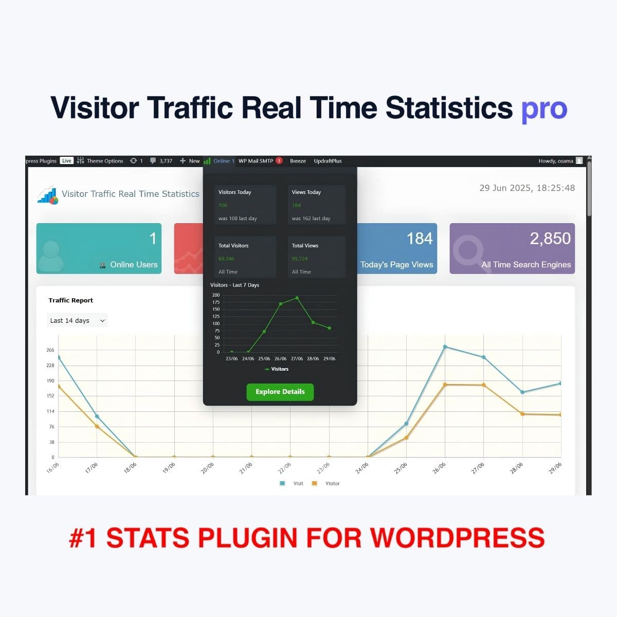 Visitor Traffic Real Time Statistics pro