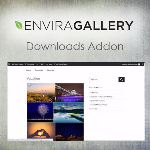 Envira Gallery - Downloads Addon