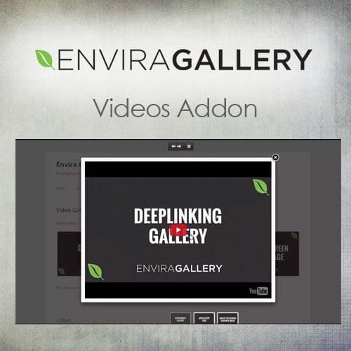 Envira Gallery - Videos Addon