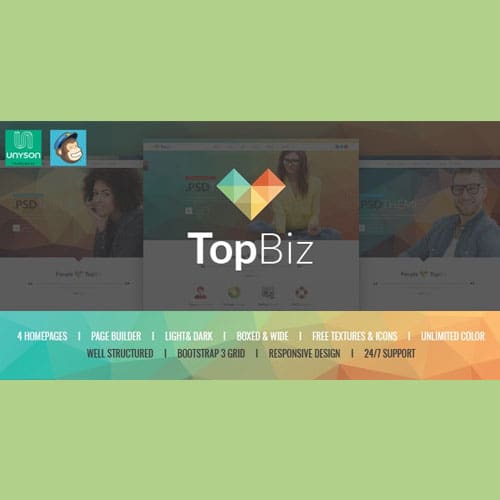 TopBiz - Responsive Corporate WordPress Theme