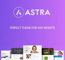 Astra WordPress Theme