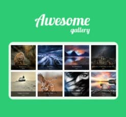 Awesome Gallery