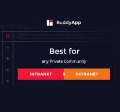 BuddyApp Mobile First Community WordPress theme