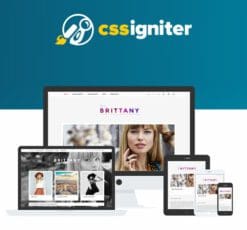 CSS Igniter Brittany WordPress Theme