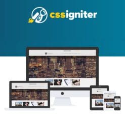 CSS Igniter BusinessTwo WordPress Theme
