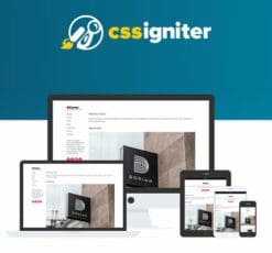 CSS Igniter Corner WordPress Theme