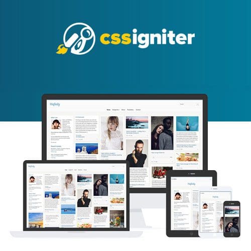 CSS Igniter Pinfinity WordPress Theme