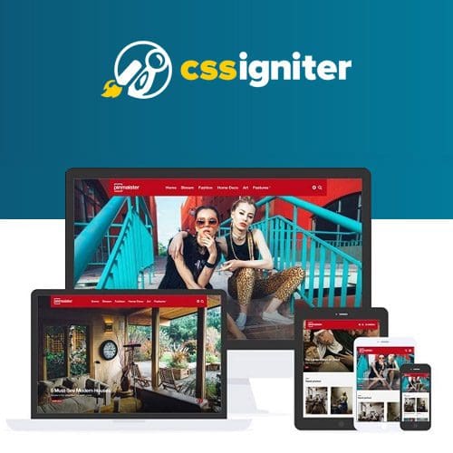 CSS Igniter Pinmaister Pinterest Like WordPress Theme