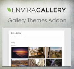 Envira Gallery – Gallery Themes Addon