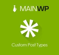 Main Wp Custom Post Types