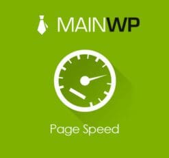 MainWp Page Speed