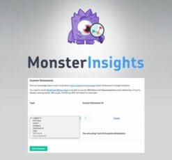 MonsterInsights Dimensions Addon