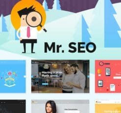 Mr SEO SEO Marketing Agency and Social Media Theme