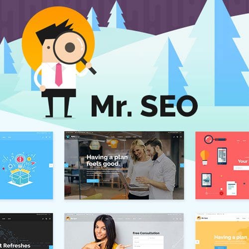 Mr SEO SEO Marketing Agency and Social Media Theme