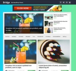 MyThemeShop Bridge WordPress Theme