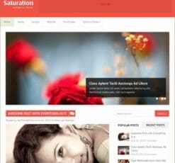 MyThemeShop Saturation WordPress Theme