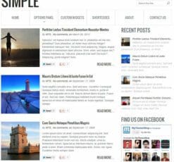 MyThemeShop Simple WordPress Theme