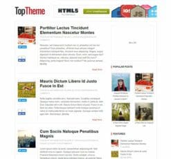 MyThemeShop Top WordPress Theme