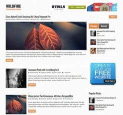 MyThemeShop Wildfire WordPress Theme