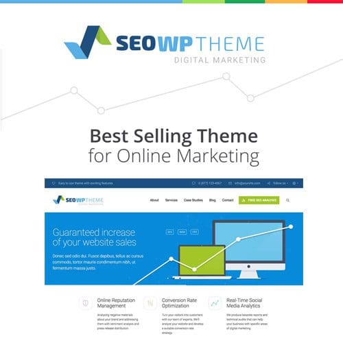 SEO WP Digital Marketing Agency Social Media Company Theme