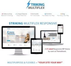 Striking MultiFlex Ecommerce Responsive WP Theme