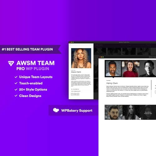The Team Pro Team Showcase WordPress Plugin