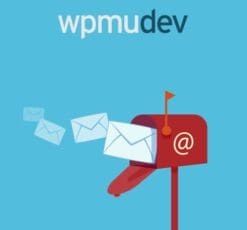 WPMU DEV E Newsletter