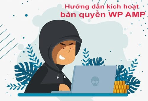 Hướng dẫn kích hoạt bản quyền WP AMP