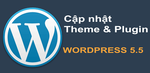 cap nhat theme plugin phien ban wordpress 5.5