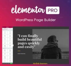 Elementor PRO WordPress Page Builder Pro Templates
