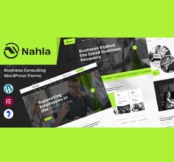 Nahla Business Consulting WordPress Theme