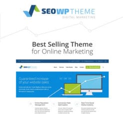SEO WP Digital Marketing Agency Social Media Company Theme