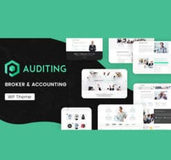 Auditing | Accounting Consultant, Finance WordPress Theme