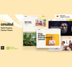 Caridad – Charity WordPress Theme